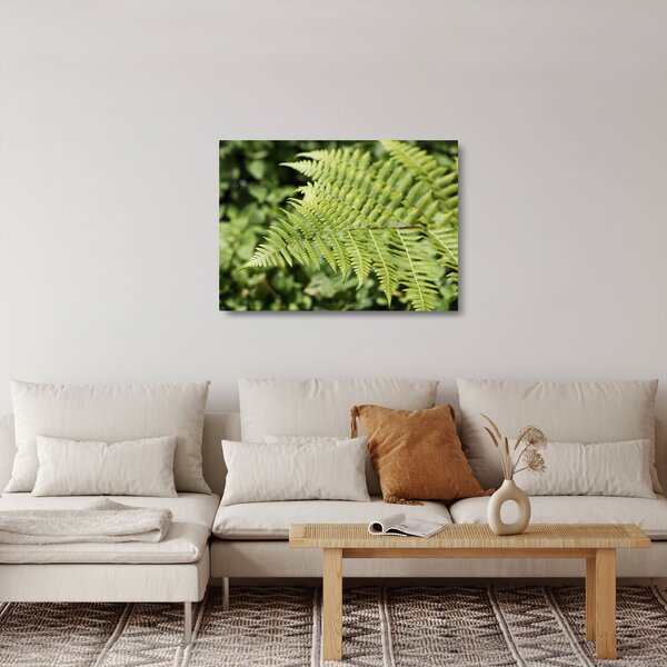 Üveg kép - Páfránylevél (70x50 cm)