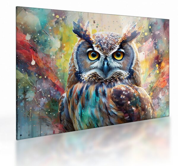 Üveg kép - Egy bagoly festménye (70x50 cm)