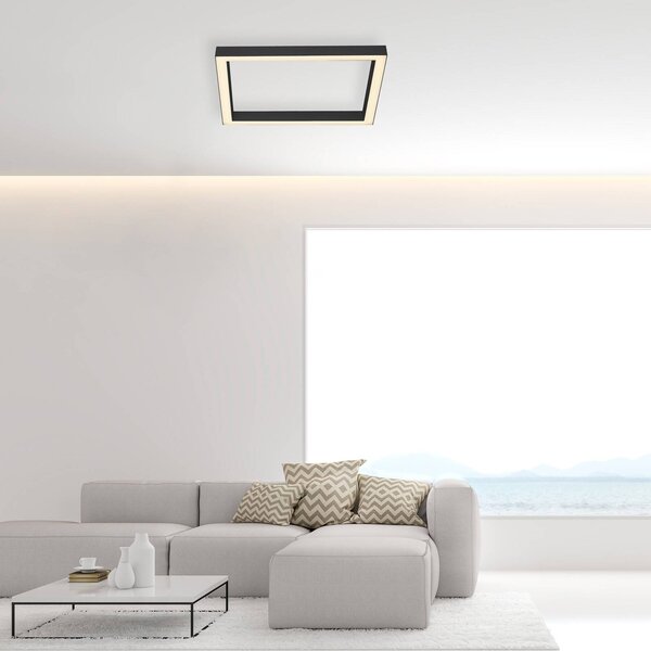 PURE LED mennyezeti lámpa Lines, 55x55 cm, antracit, CCT, távirányítós, dimmelhető, Fekete, Nappali / Étkező, Alumínium, Modern