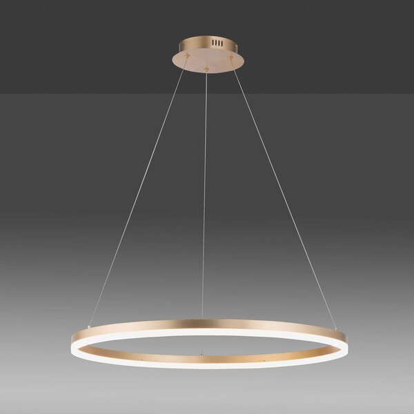 Paul Neuhaus LED-es függőlámpa Titus, Ø 80 cm, sárgaréz, fényerőszabályozó, dimmelhető, Sárgaréz / arany, Nappali / Étkező, Alumínium, Modern