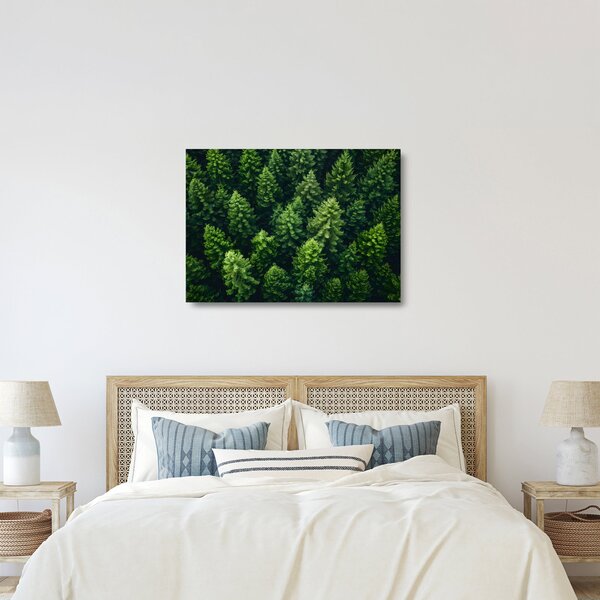 Üveg kép - Forest (70x50 cm)
