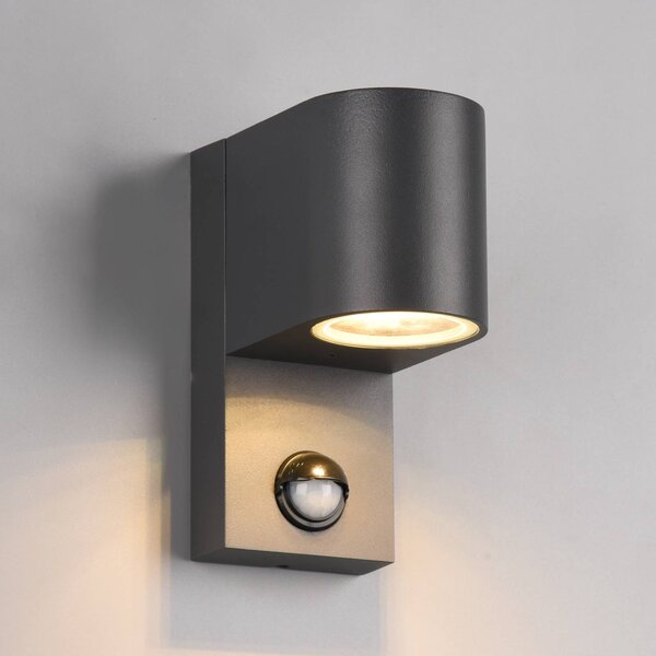 Trio Lighting Roya kültéri fali lámpa 1 izzó kerek antracit, dimmelhető, Fekete, Alumínium, Modern