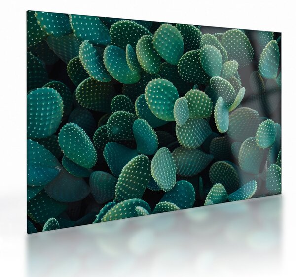 Üveg kép - Opuntia (70x50 cm)