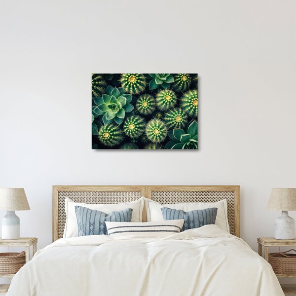 Üveg kép - Kaktuszok (70x50 cm)