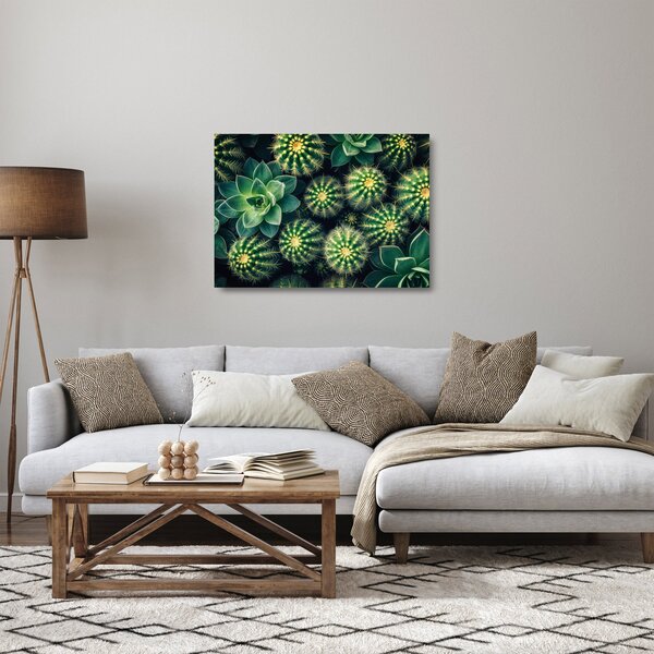 Üveg kép - Kaktuszok (70x50 cm)