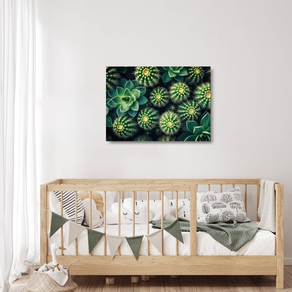 Üveg kép - Kaktuszok (70x50 cm)