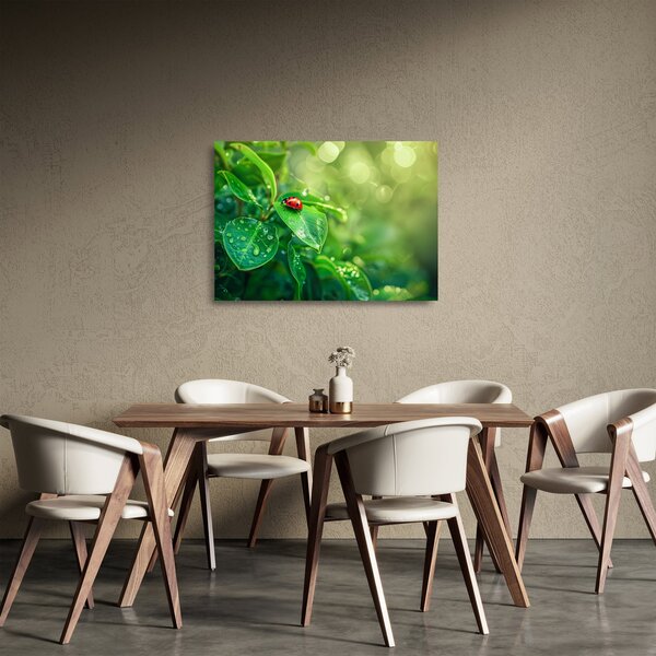 Üveg kép - Katicabogár (70x50 cm)