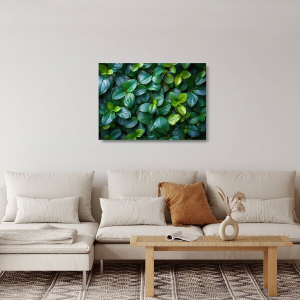 Üveg kép - Zöld növények (70x50 cm)