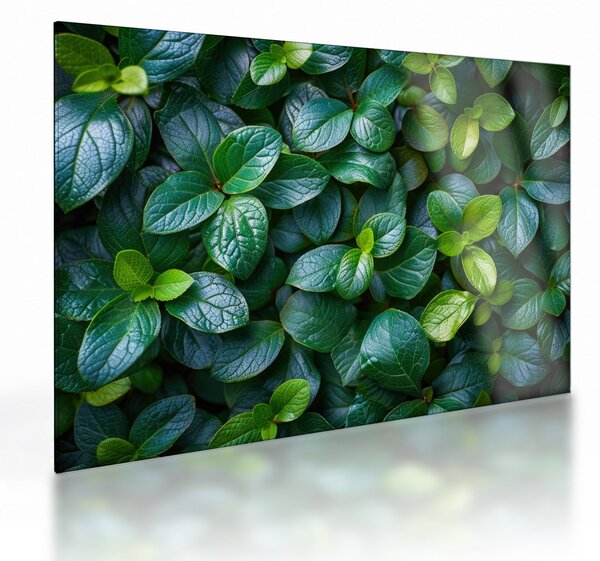 Üveg kép - Zöld növények (70x50 cm)