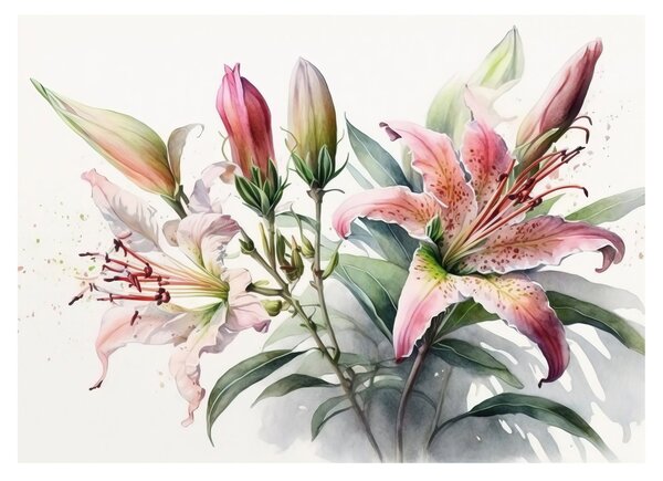 Üveg kép - Liliomok, illusztrációk (70x50 cm)