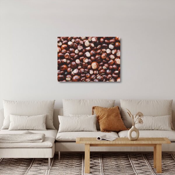 Üveg kép - Érett gesztenye (70x50 cm)