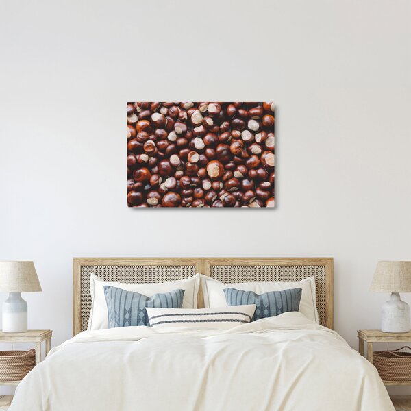 Üveg kép - Érett gesztenye (70x50 cm)