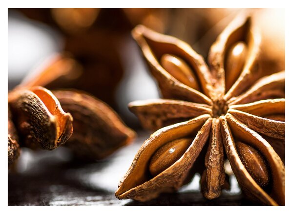 Üveg kép - Anise (70x50 cm)