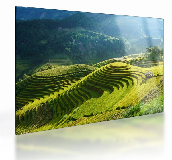 Üveg kép - Rice Terraces koncert (70x50 cm)