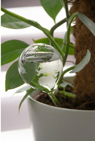Üveg locsológömb 175 ml Globe – Esschert Design