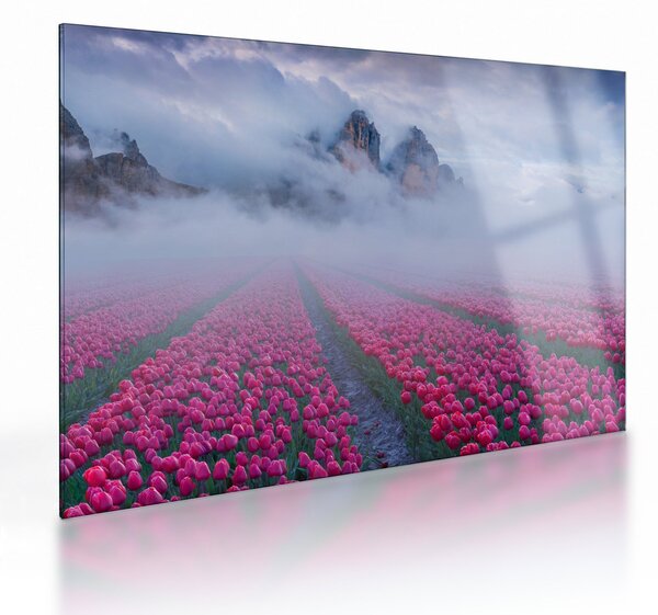 Üveg kép - Tájkép tulipánmezőkkel (70x50 cm)