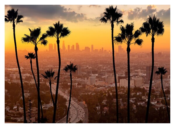 Üveg kép - Los Angeles panorámája (70x50 cm)