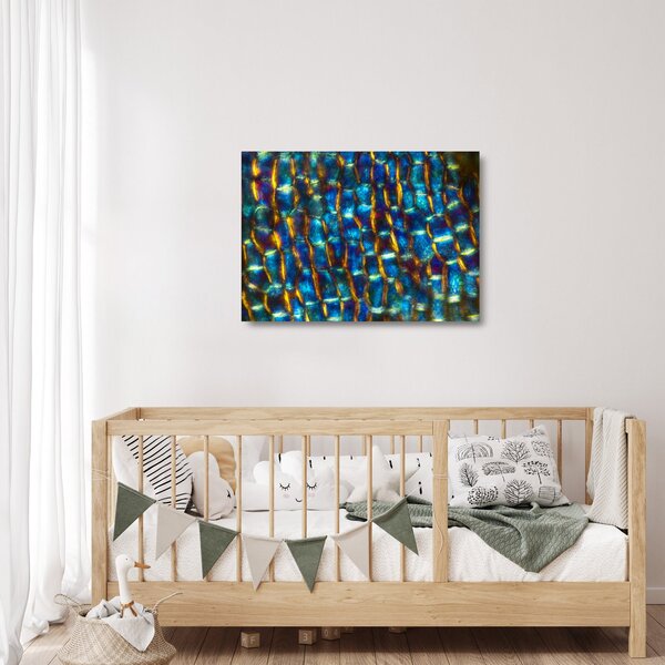 Üveg kép - Sejtfal (70x50 cm)