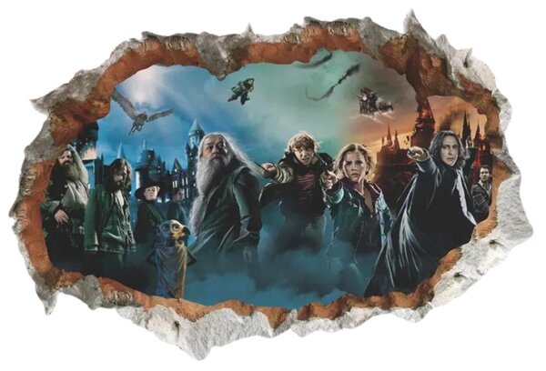 Falmatrica "Harry Potter" 50x70 cm