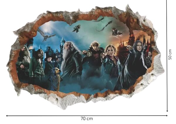 Falmatrica "Harry Potter" 50x70 cm