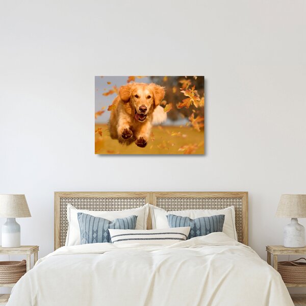 Üveg kép - Golden Retriever (70x50 cm)