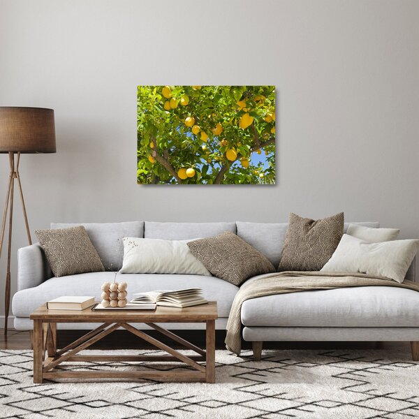 Üveg kép - Citromfa (70x50 cm)