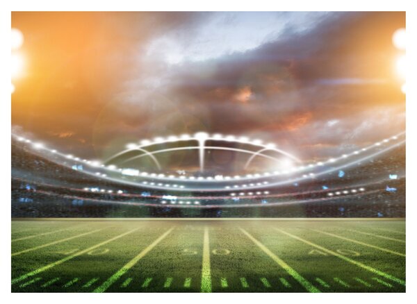 Üveg kép - Stadium (70x50 cm)