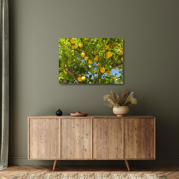 Üveg kép - Citromfa (70x50 cm)