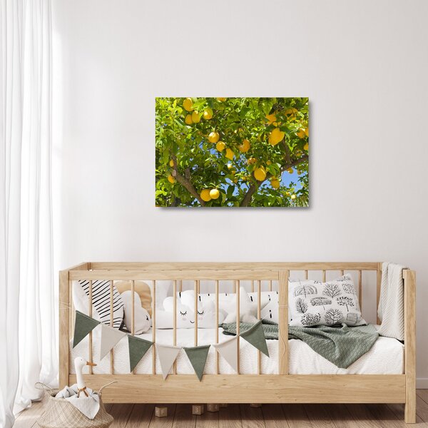 Üveg kép - Citromfa (70x50 cm)
