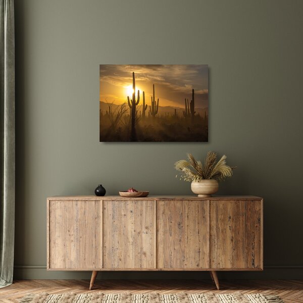 Üveg kép - Saguaro kaktuszok (70x50 cm)