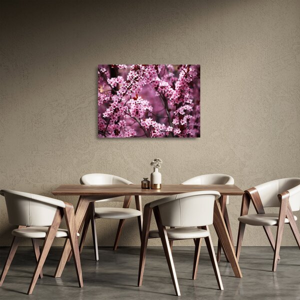 Üveg kép - Rózsaszín sakura (70x50 cm)