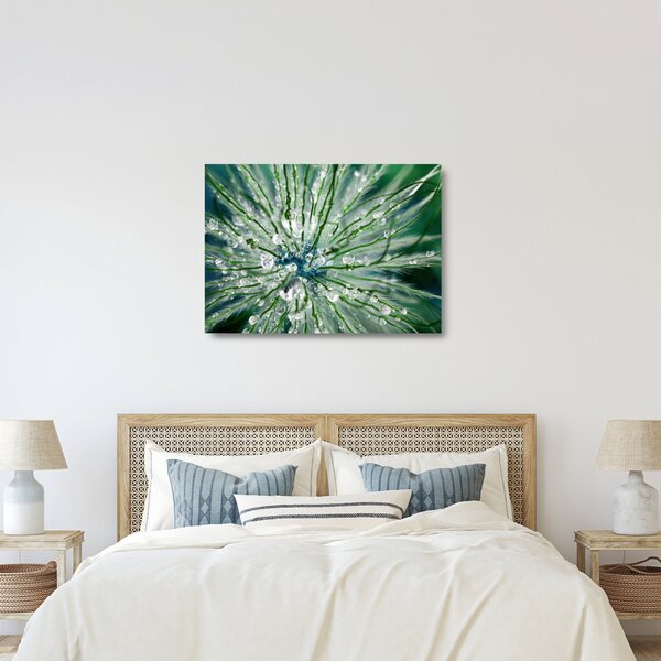 Üveg kép - Makro kép egy virágról (70x50 cm)