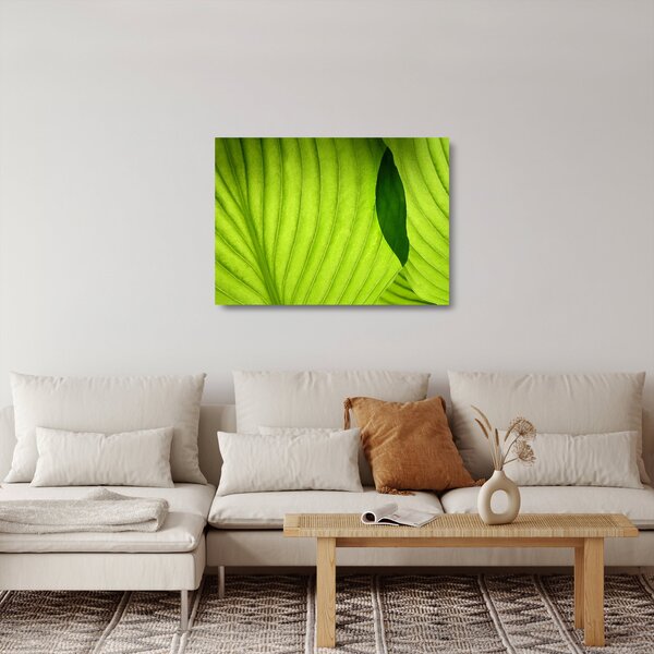 Üveg kép - Zöld levél részlete (70x50 cm)