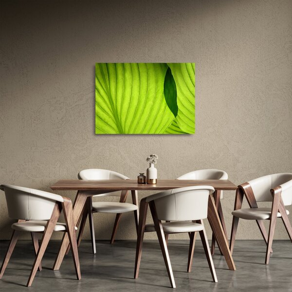 Üveg kép - Zöld levél részlete (70x50 cm)