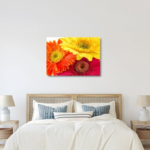Üveg kép - Virágok Gerbery (70x50 cm)
