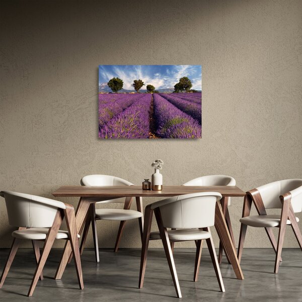 Üveg kép - Levendula mező és hegyek (70x50 cm)