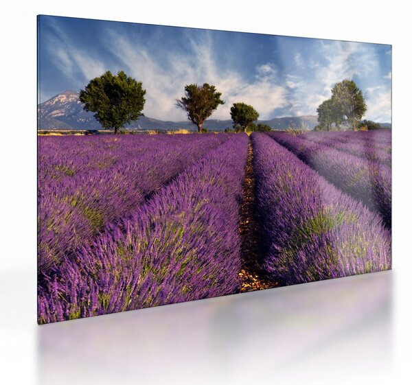 Üveg kép - Levendula mező és hegyek (70x50 cm)