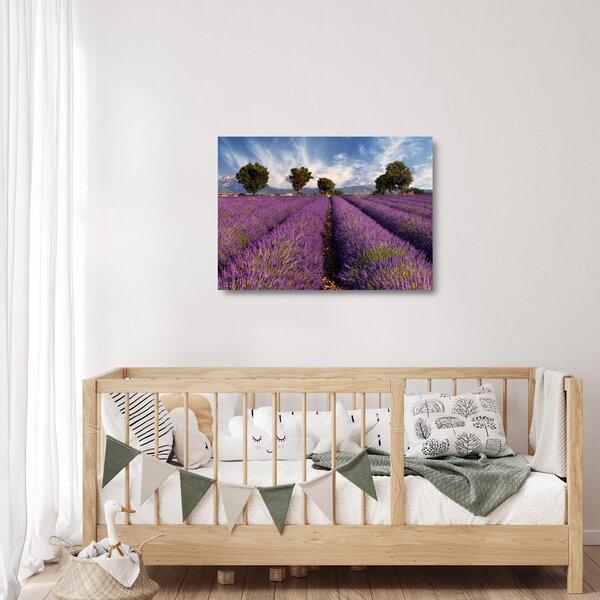 Üveg kép - Levendula mező és hegyek (70x50 cm)