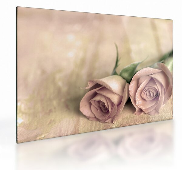 Üveg kép - Finom rózsák (70x50 cm)