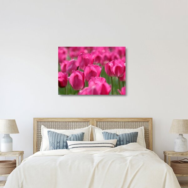Üveg kép - Rózsaszín tulipánok (70x50 cm)