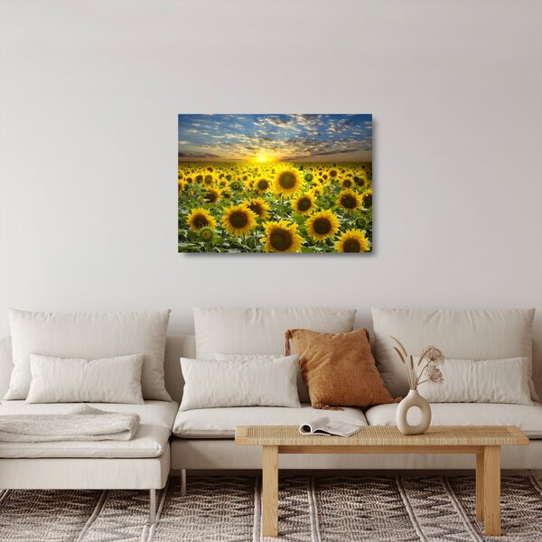 Üveg kép - Napraforgók naplementében (70x50 cm)