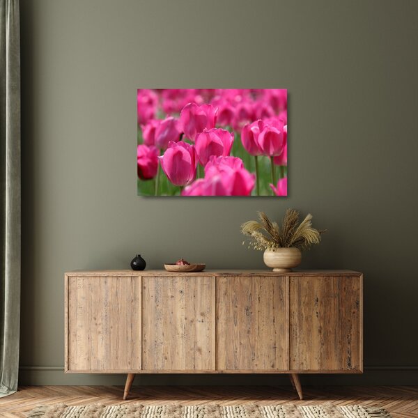 Üveg kép - Rózsaszín tulipánok (70x50 cm)