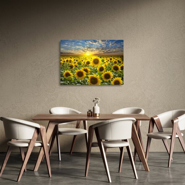 Üveg kép - Napraforgók naplementében (70x50 cm)