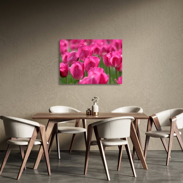 Üveg kép - Rózsaszín tulipánok (70x50 cm)