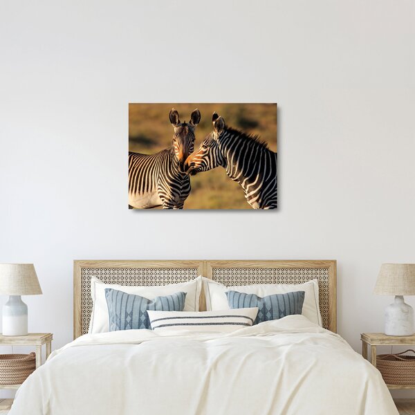 Üveg kép - Két zebra (70x50 cm)