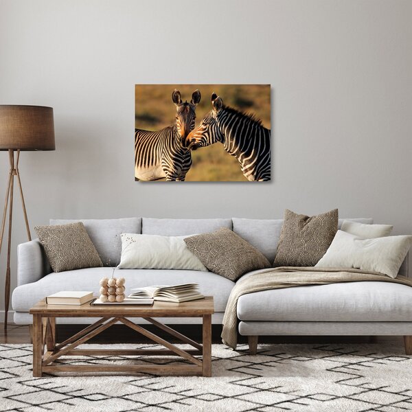 Üveg kép - Két zebra (70x50 cm)
