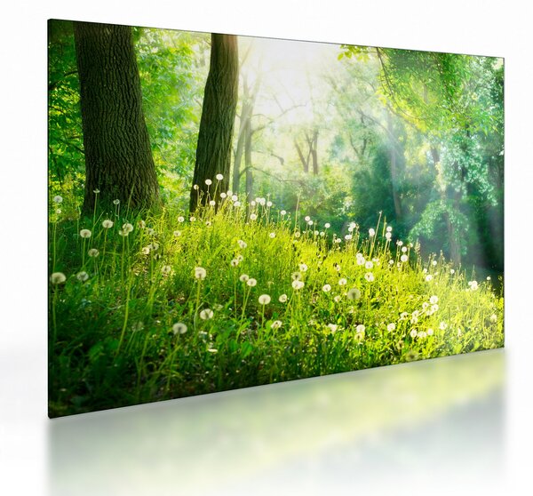 Üveg kép - Varázslatos rét tele pitypanggal (70x50 cm)