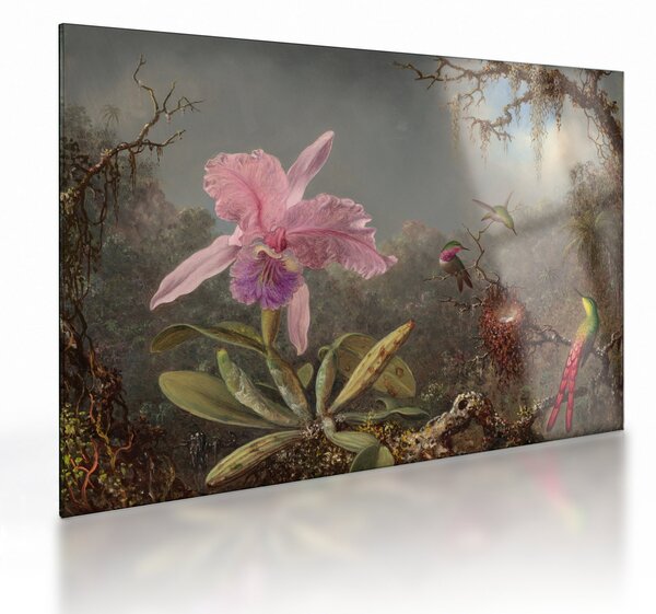 Üveg kép - Martin Johnson Heade, Cattleya Orchid and Three Hummingbirds, reprodukciók (70x50 cm)