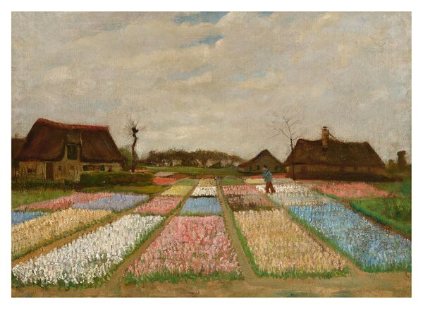 Üveg kép - Vincent van Gogh, Flower Beds in Holland, reprodukciók (70x50 cm)