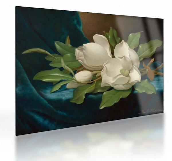 Üveg kép - Martin Johnson Heade, Giant Magnolias on a Blue Velvet Cloth, reprodukciók (70x50 cm)